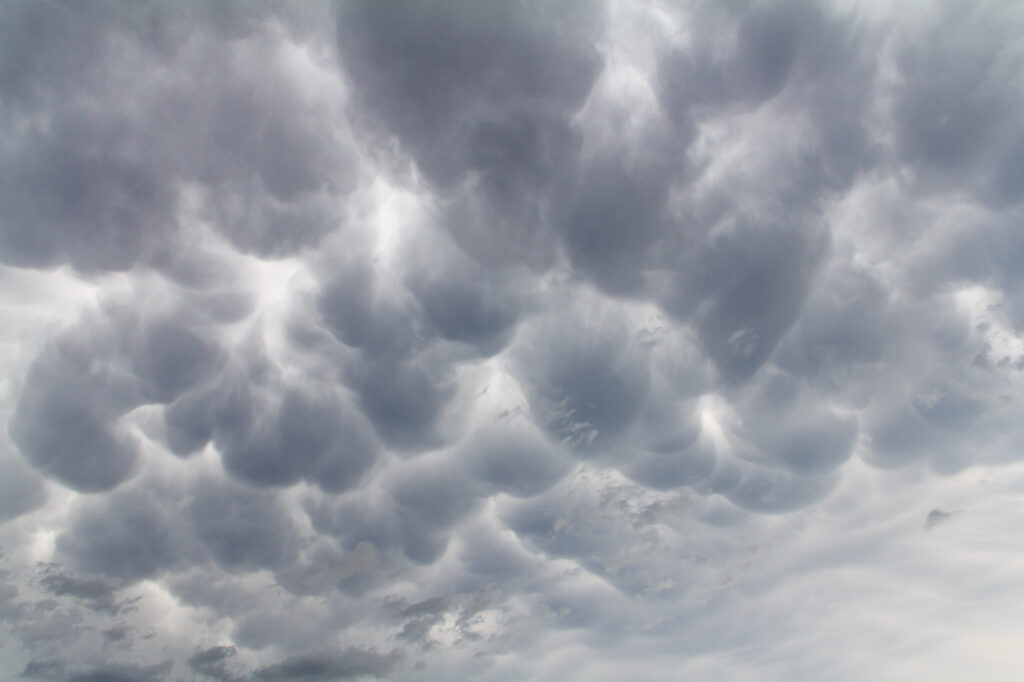 Mammatus