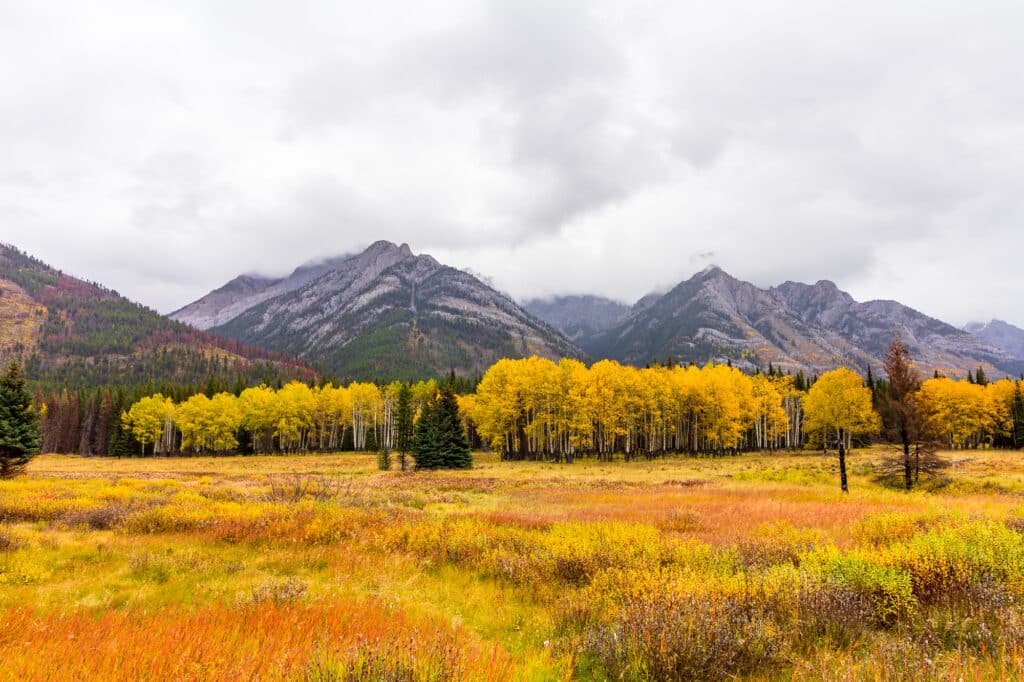 Bow Valley Parkway