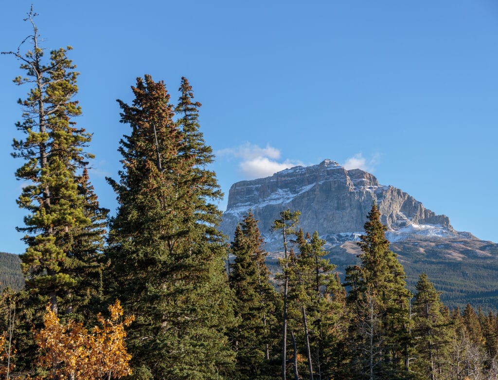 Chief Mountain