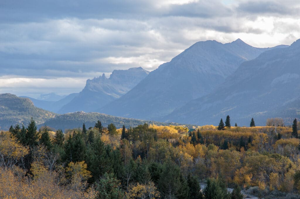 Overlooking Waterton Lake