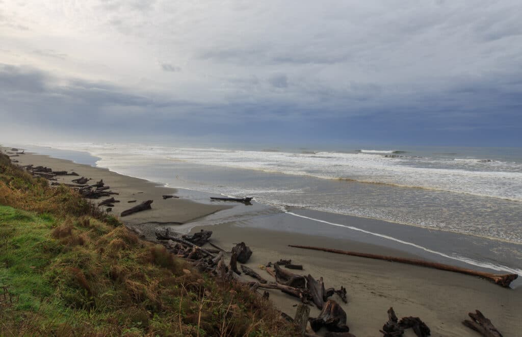 Near Kalaloch