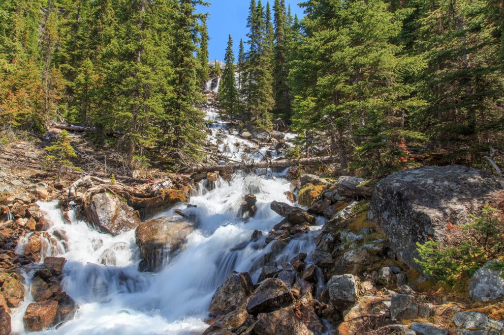 Seven Veils Falls into Lake O'Hara in Yoho National Park