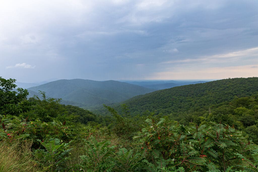 Skyline Drive Shenandoah National Park