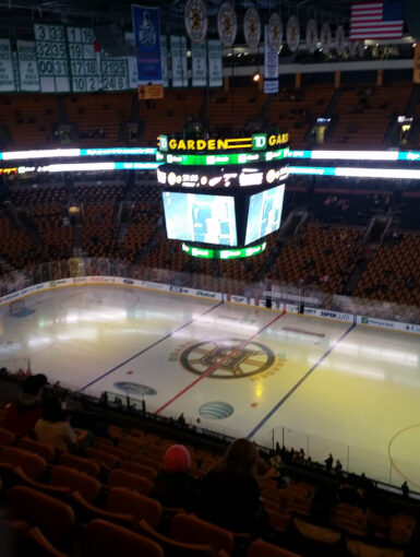 Red Wings in Boston