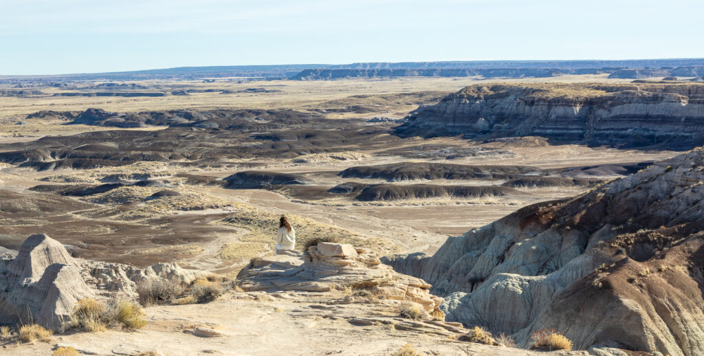 The Painted Desert