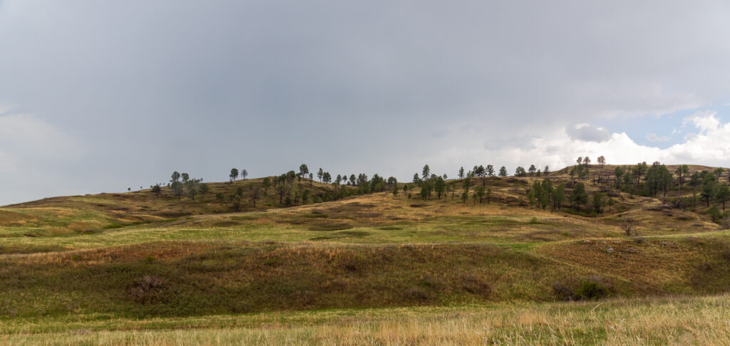 The Hills of South Dakota